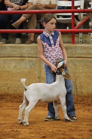 East Texas State Fair - Goat Showmanship-036
