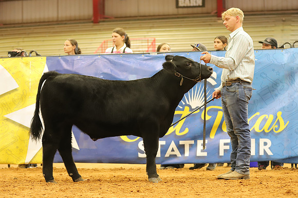East Texas State Fair - Steer Show-120