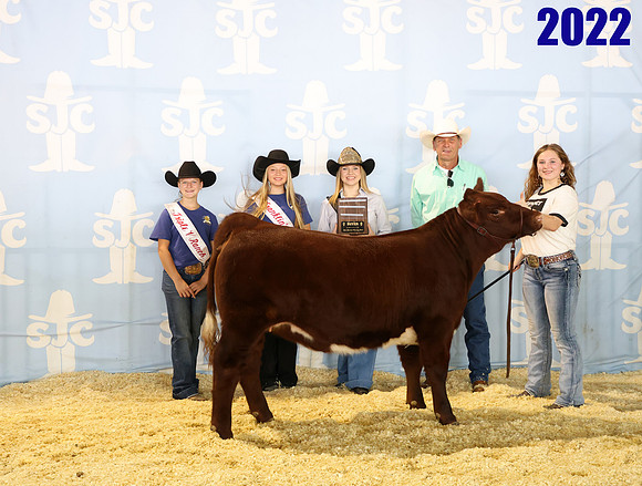 Lot 26