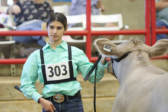 East Texas State Fair - Steer Show-073