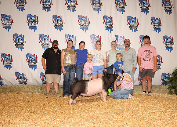 Pig Backdrop 5