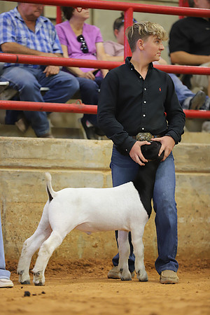 East Texas State Fair - Goat Show-095