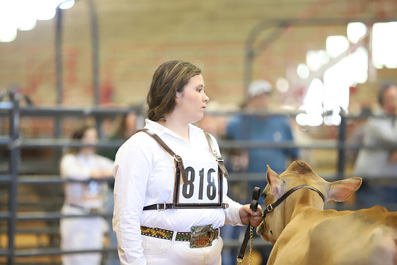 East Texas State Fair - Dairy Show-163