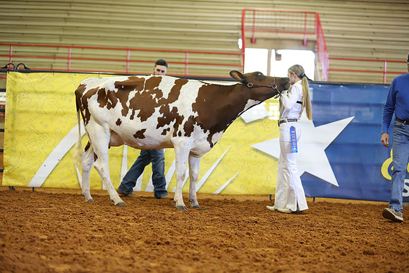 East Texas State Fair - Dairy Show-395