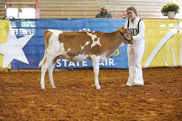 East Texas State Fair - Dairy Show-391