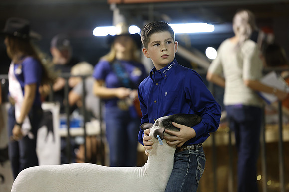 J63A4635