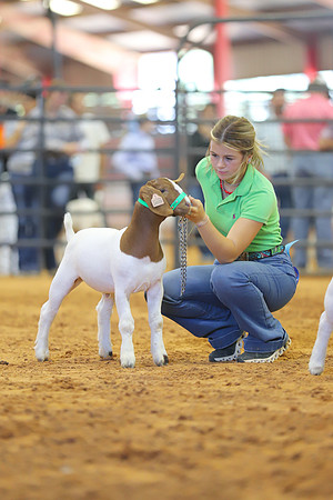 East Texas State Fair - Goat Show-151