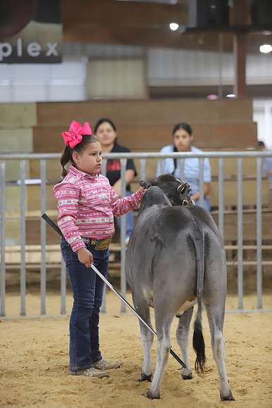 IMG_0524