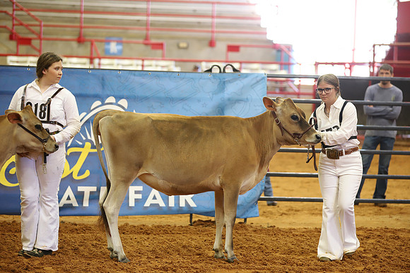 East Texas State Fair - Dairy Show-150