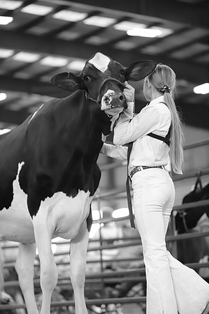 East Texas State Fair - Dairy Show-310