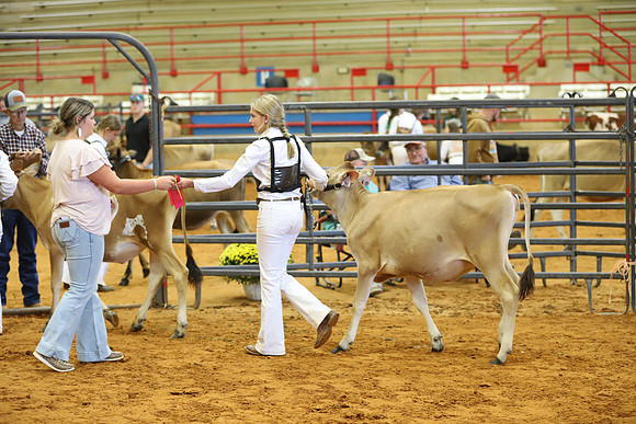 East Texas State Fair - Dairy Show-173