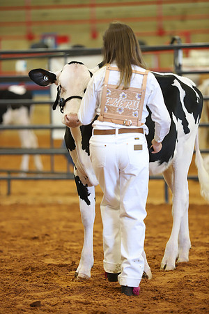 East Texas State Fair - Dairy Show-345