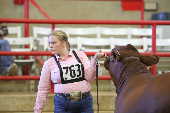 EastTexasStateFair-JBBAHeiferShowmanship-14