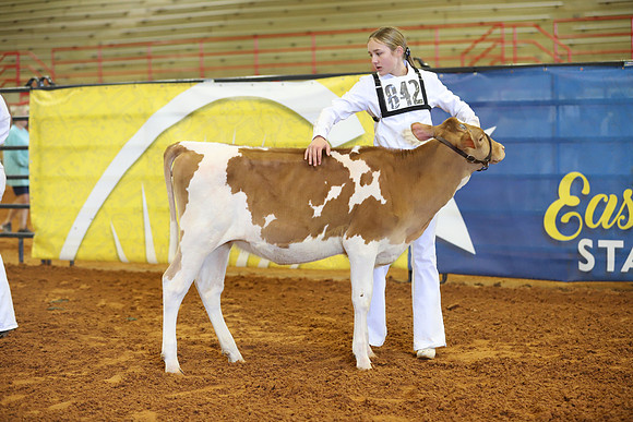 East Texas State Fair - Dairy Show-401