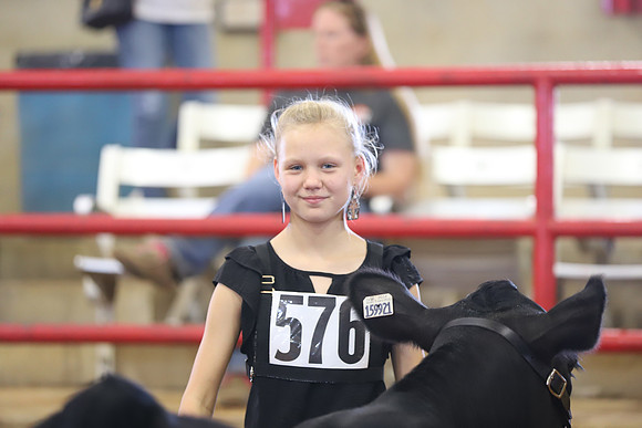 EastTexasStateFair-BritishHeiferShowmanship-74