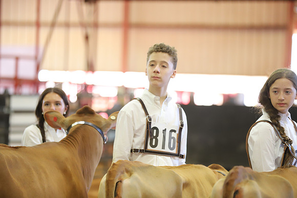 East Texas State Fair - Dairy Show-148