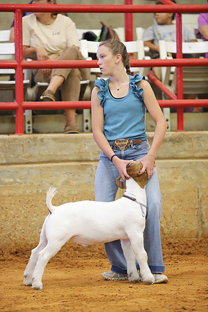 East Texas State Fair - Goat Showmanship-017
