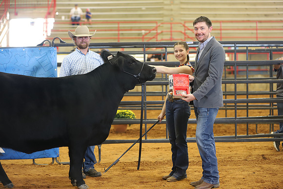 EastTexasStateFair-BritishHeiferShowmanship-02