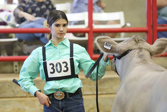 East Texas State Fair - Steer Show-072