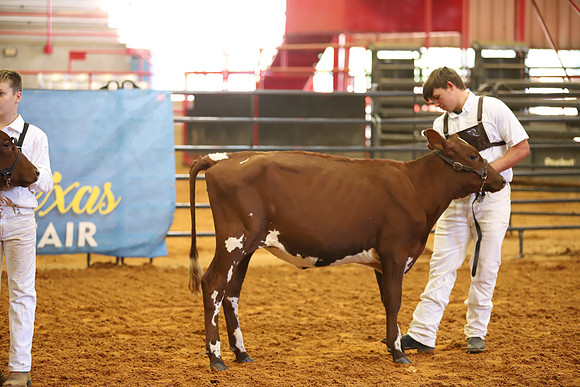 East Texas State Fair - Dairy Show-217