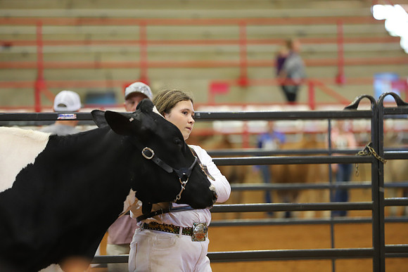 East Texas State Fair - Dairy Show-017