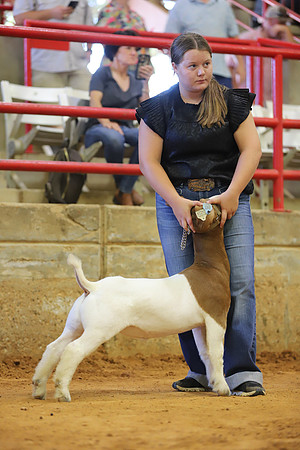 East Texas State Fair - Goat Show-068