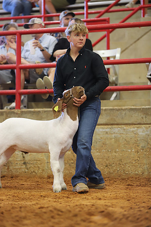 East Texas State Fair - Goat Showmanship-066