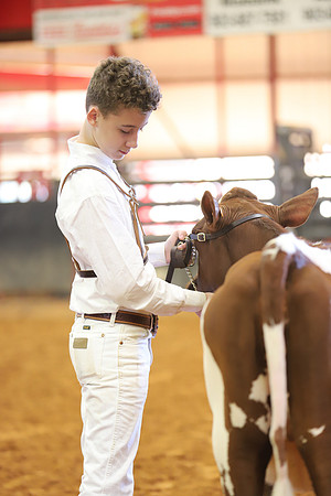 East Texas State Fair - Dairy Show-256