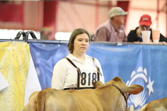 East Texas State Fair - Dairy Show-158