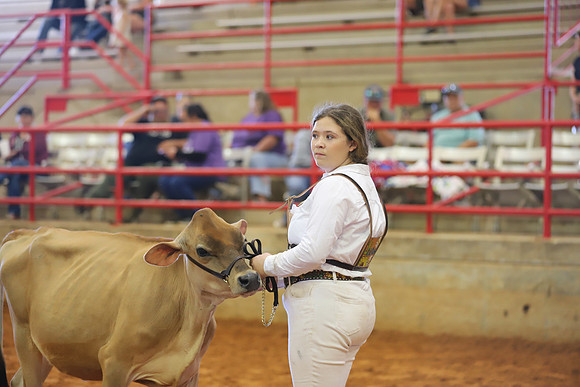 East Texas State Fair - Dairy Show-154