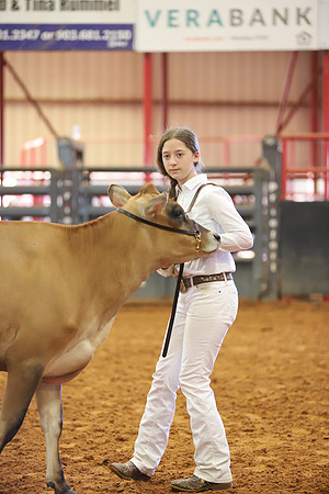 East Texas State Fair - Dairy Show-140
