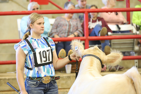 East Texas State Fair - Steer Show-086