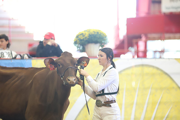 East Texas State Fair - Dairy Show-234