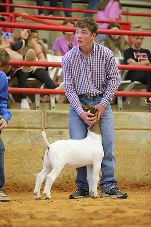 East Texas State Fair - Goat Show-135