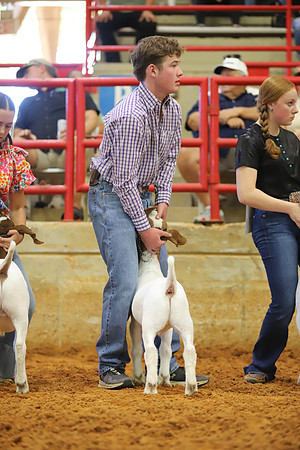 East Texas State Fair - Goat Showmanship-146