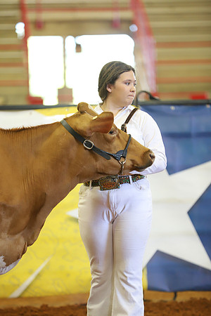 East Texas State Fair - Dairy Show-398