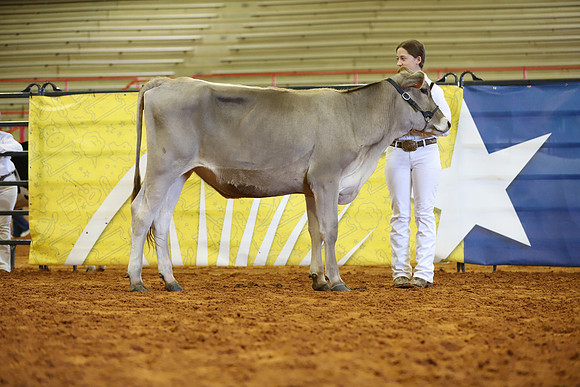 East Texas State Fair - Dairy Show-365