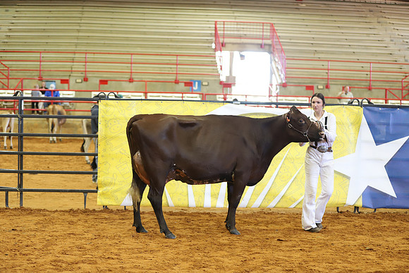 East Texas State Fair - Dairy Show-192