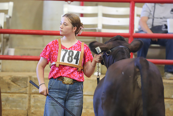 EastTexasStateFair-JBBAHeiferShowmanship-13