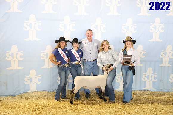 lot 89