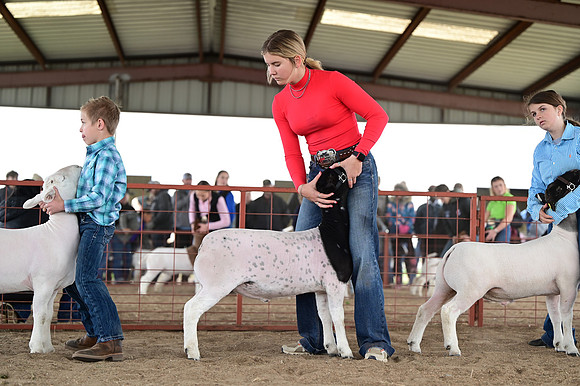 CVW_2909