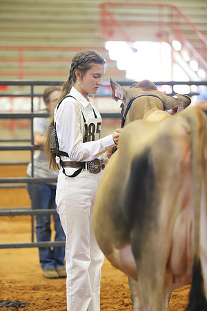 East Texas State Fair - Dairy Show-109