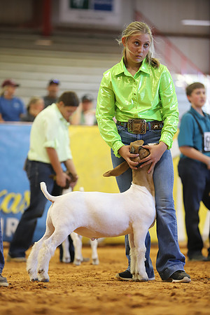 East Texas State Fair - Goat Show-057