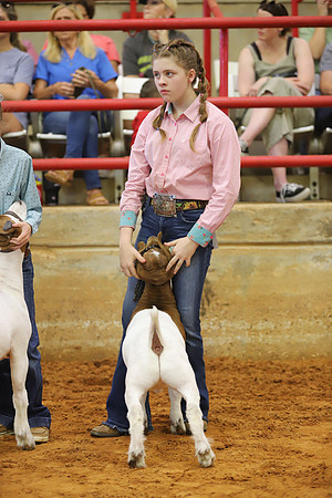 East Texas State Fair - Goat Showmanship-106