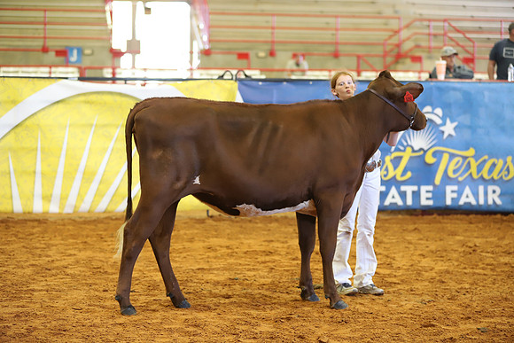 East Texas State Fair - Dairy Show-201