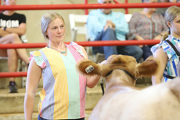East Texas State Fair - Steer Show-087