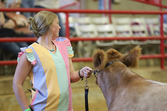 East Texas State Fair - Steer Show-080