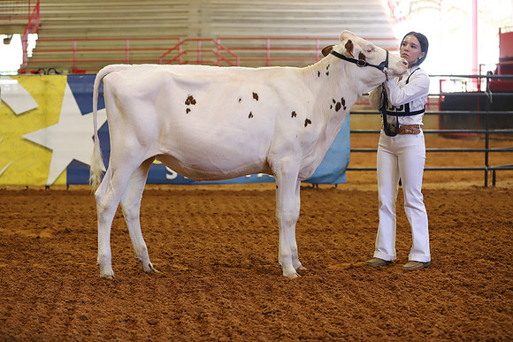 East Texas State Fair - Dairy Show-307