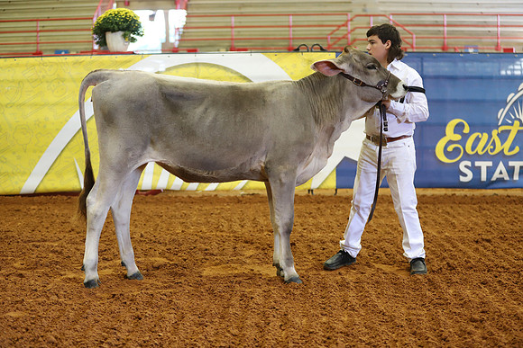 East Texas State Fair - Dairy Show-347