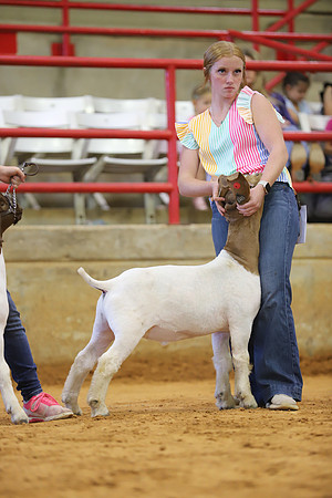 East Texas State Fair - Goat Show-024